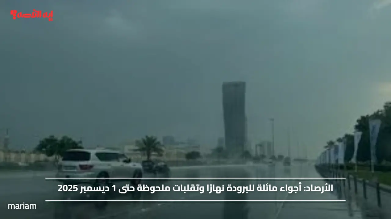 الأرصاد.. أجواء مائلة للبرودة نهارًا وتقلبات ملحوظة حتى 1 ديسمبر 2025